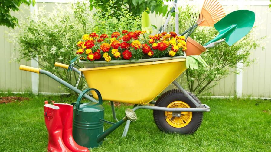 Jardines a domicilio Jardines a domicilio