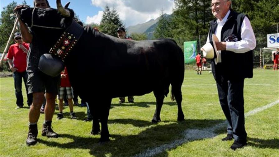 Al presidente de la FIFA le regalan una vaca: No habla de los problemas legales