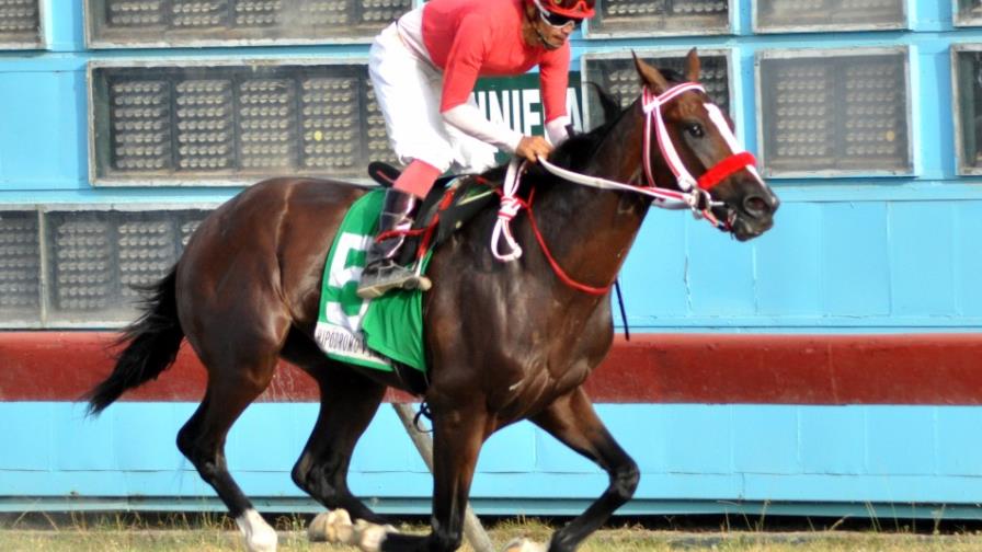 Tango Dancer fue el más rápido este sábado en el hipódromo V Centenario