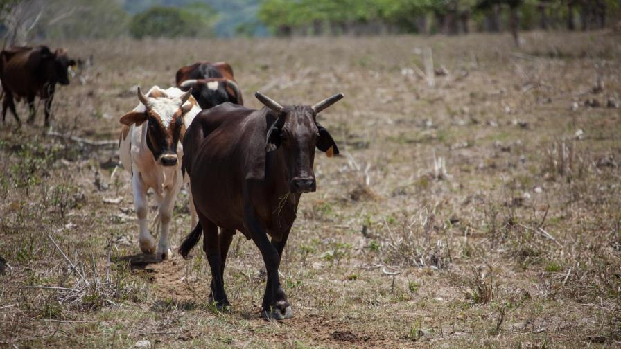 Confenagro afirma que el país debe elaborar una política nacional de agua