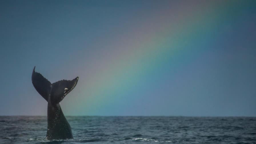 Septiembre: Muestra Cine Medioambiental