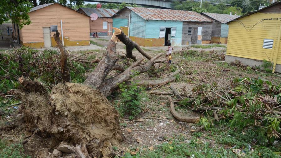 Demandan respuesta de las autoridades ante apagones y escombros dejados por Erika Demandan respuesta de las autoridades ante apagones y escombros dejados por Erika
