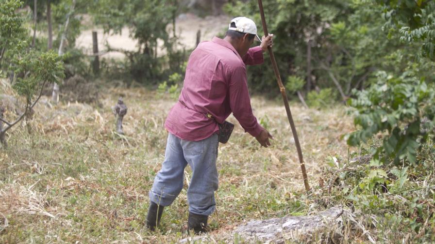 Sequía afecta a buena parte de América Central y merma producción de alimentos 
