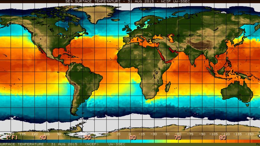 Fenómeno El Niño puede convertirse en uno de cuatro más fuertes en 65 años