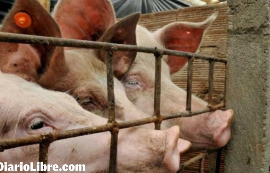 Danilo Medina inaugurará dos congresos de porcicultura en Punta Cana
