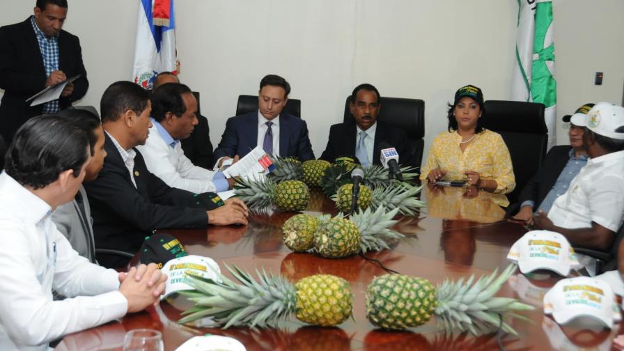 Los productores de Cevicos organizan su cuarta feria anual de la piña