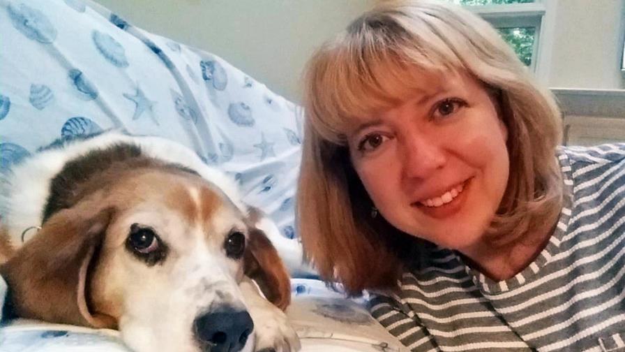 Nuevos collares monitorean salud de mascotas 