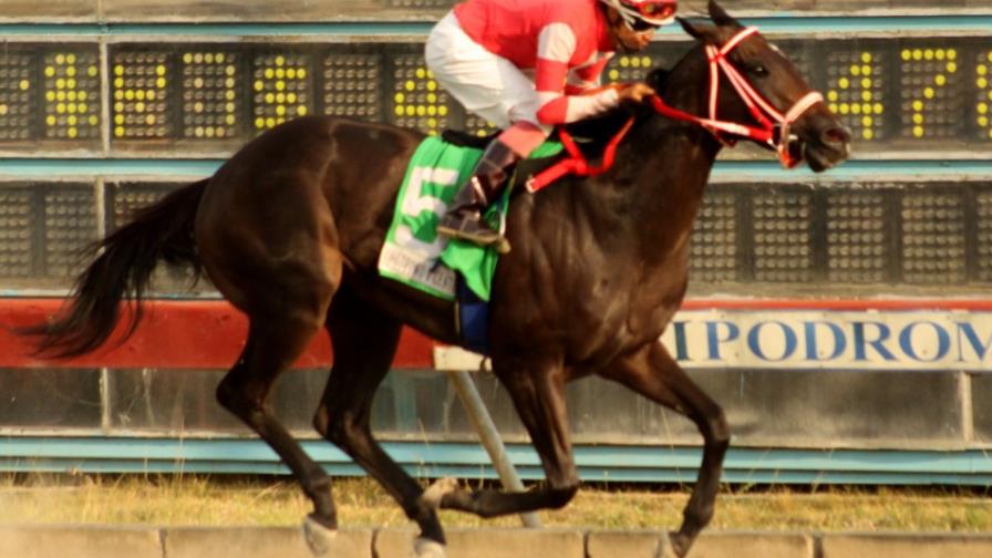 Fratello Martino se impone en estelar en el hipódromo V Centenario