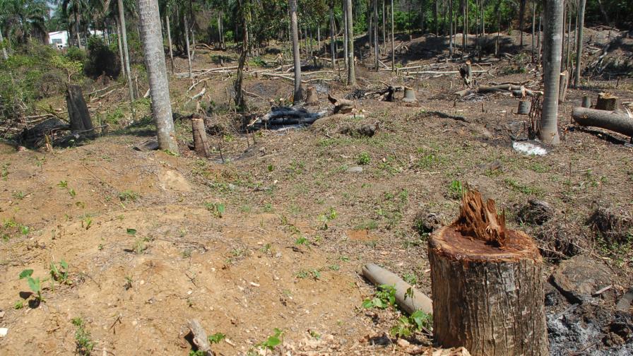 MA somete a la justicia presidente Sala Capitular de Ocoa