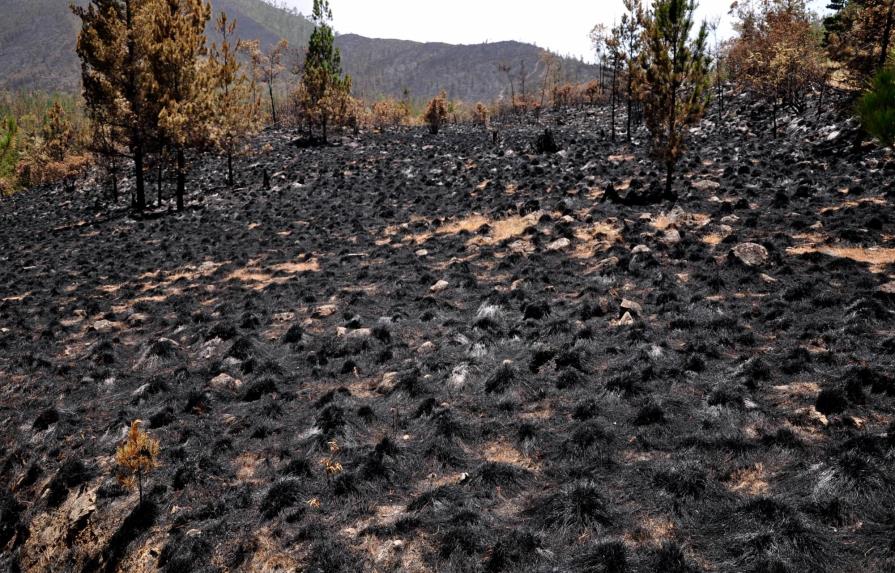 Someten a presidente de la Sala Capitular de Ocoa por quemar 3 mil tareas de tierras