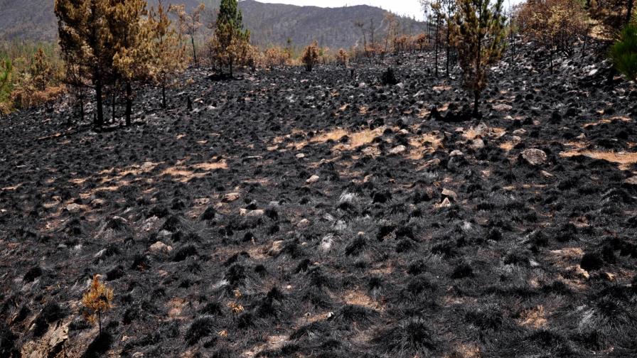 Someten a presidente de la Sala Capitular de Ocoa por quemar 3 mil tareas de tierras