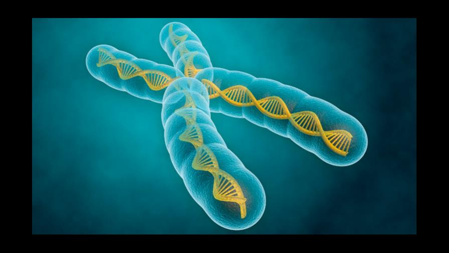 Descubren una enzima clave para la regeneración del corazón