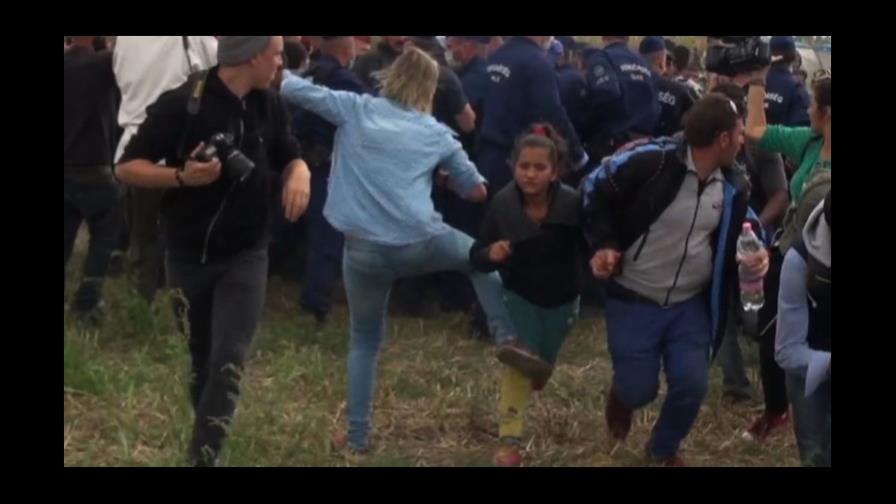 Ola de indignación por reportera que patea sirios provoca su despido