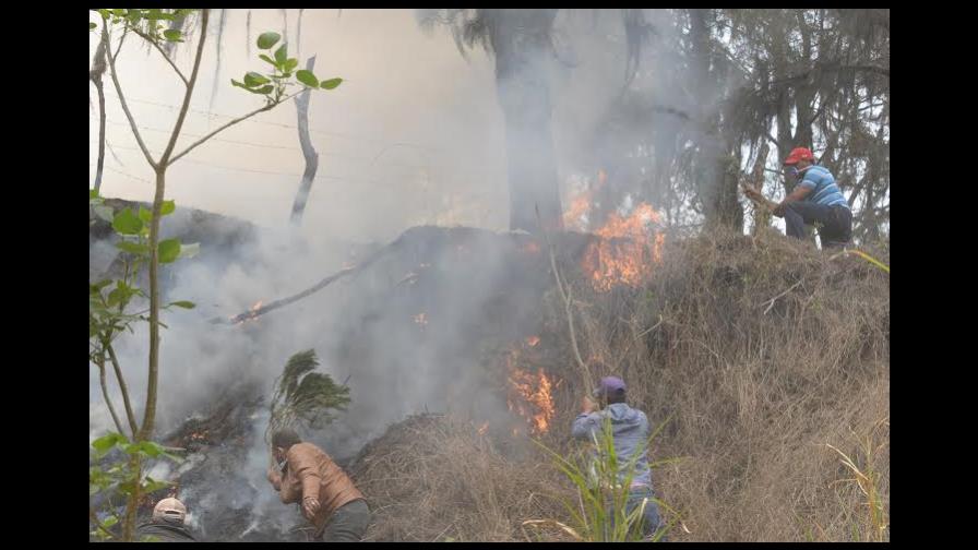 Fuego afecta 1, 500 tareas de la zona de amortiguamiento de Los Haitises 