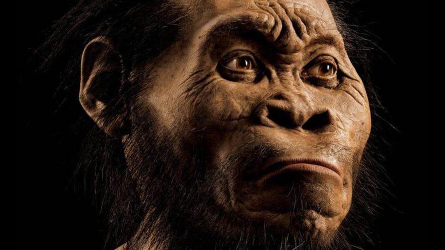 Descubren en Sudáfrica restos del homínido más antiguo hasta ahora y lo nombran ‘Homo Naledi’