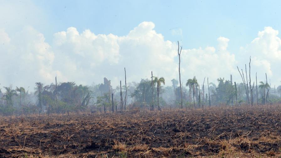Medio Ambiente da por extinguido incendio de mangles en parque Los Haitises 