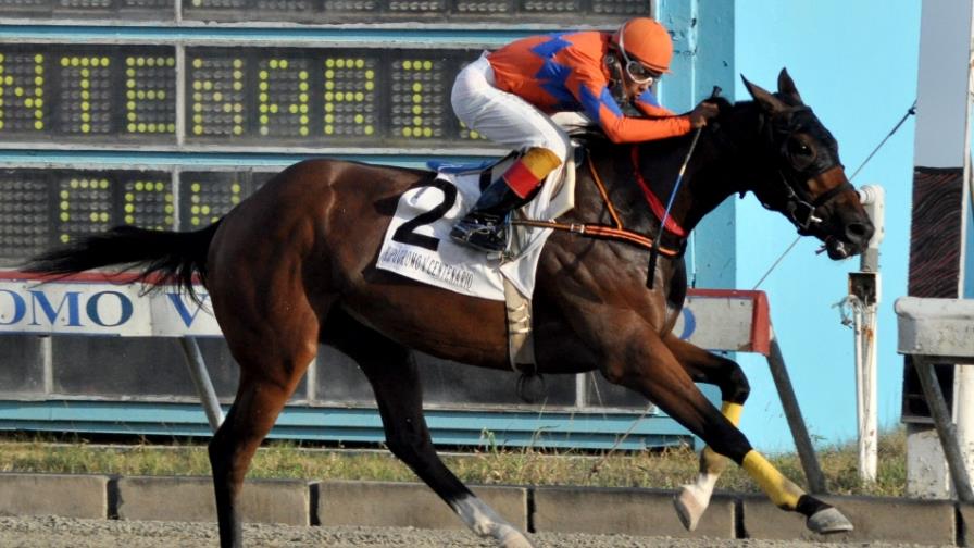 Fappiano Boy  sorprende en el hipódromo V Centenario