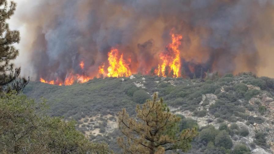 Declaran estado de emergencia en California (EE.UU.) por incendios forestales