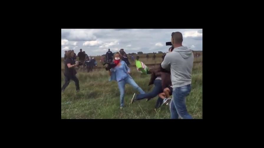 Refugiado sirio al que hicieron zancadilla vivirá en Madrid