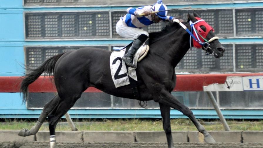 Mr. Lightning gana fácil en la estelar del hipódromo V Centenario