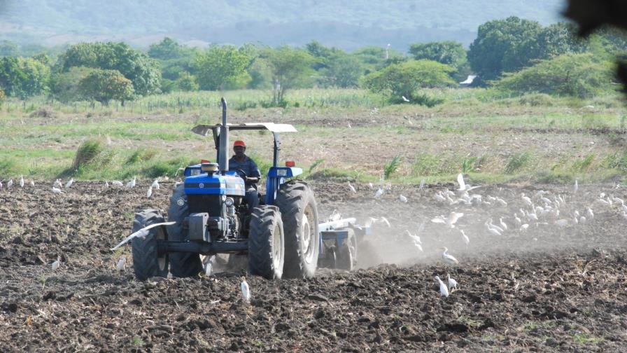 El Estado les debe más de RD$16,000 millones a los expropiados por la reforma agraria