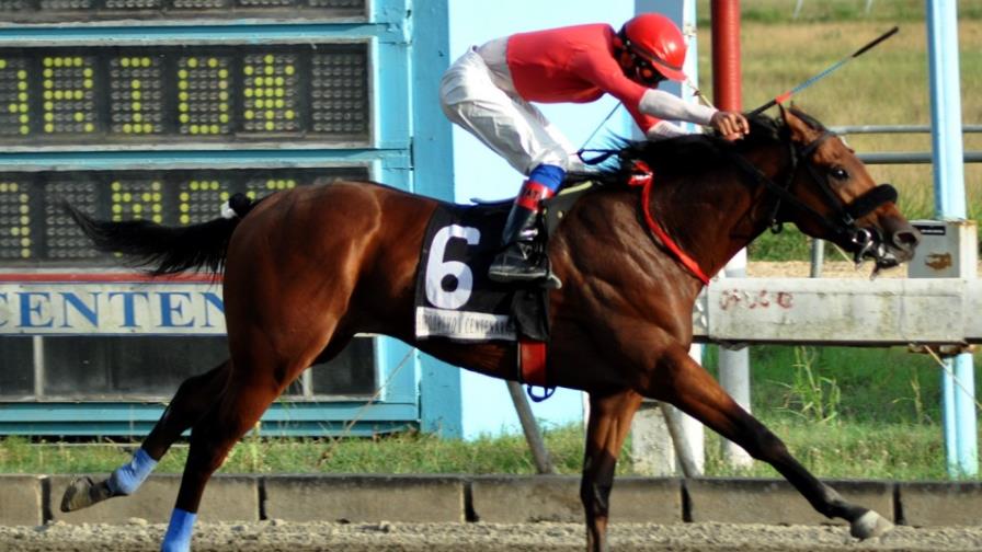 El debutante Gas Man fue por mucho el mejor en el V Centenario