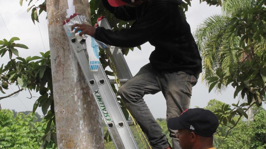 Políticos embadurnan la capital con letreros; remueven más 5 mil en una semana