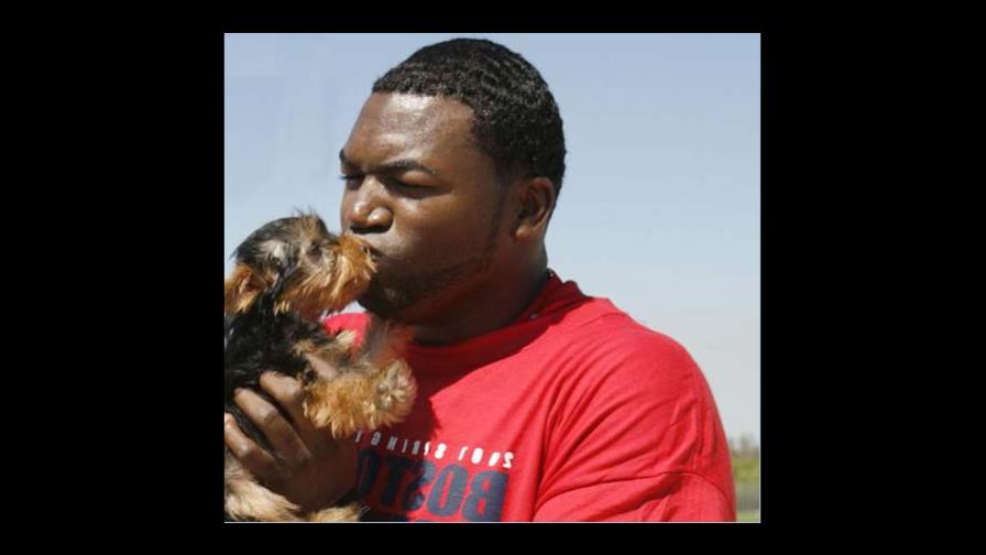 El Big Papi y el cine porno