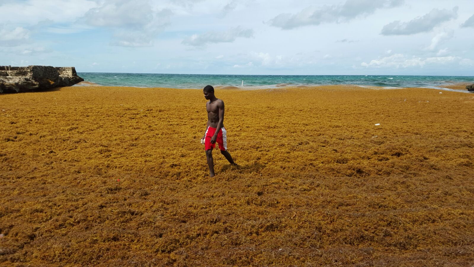 Las algas afectan al turismo.