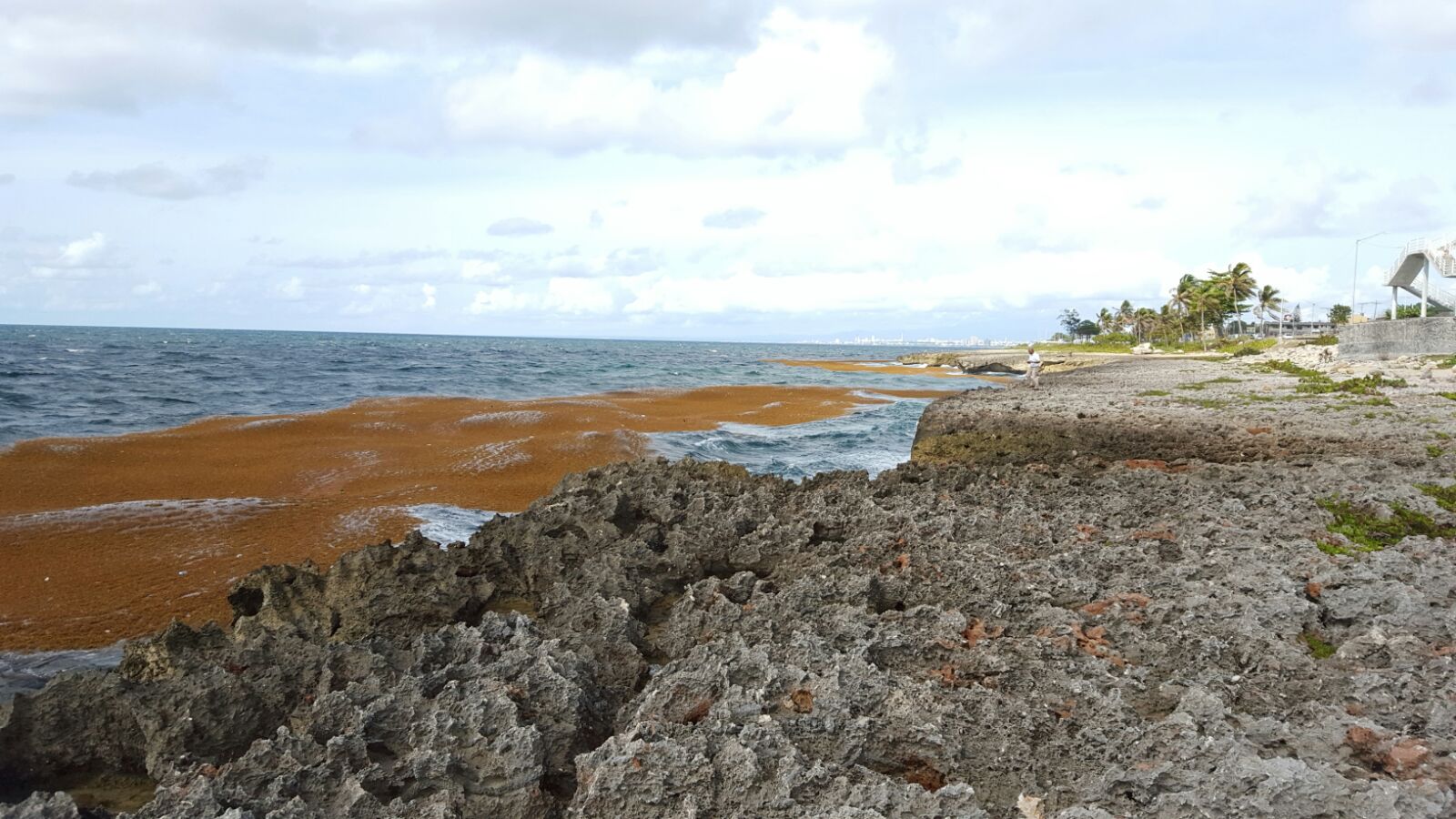 Se espera que el cabildo de La Caleta envíe una pala mecánica.