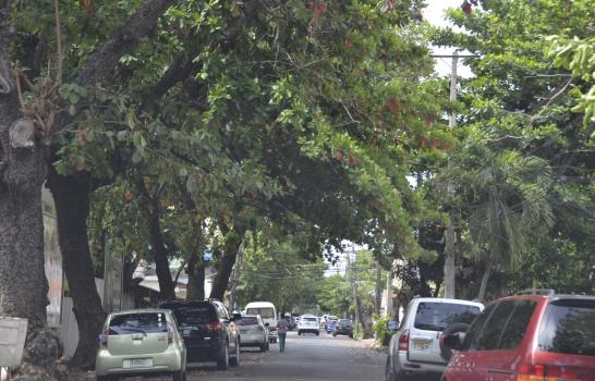 Rechazan corte árboles calle Pasteur de Gascue