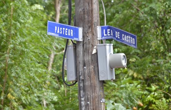 Rechazan corte árboles calle Pasteur de Gascue