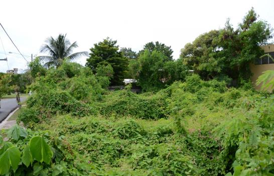 Usan solares baldíos de la UASD para delinquir