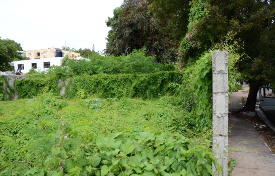 Usan solares baldíos de la UASD para delinquir