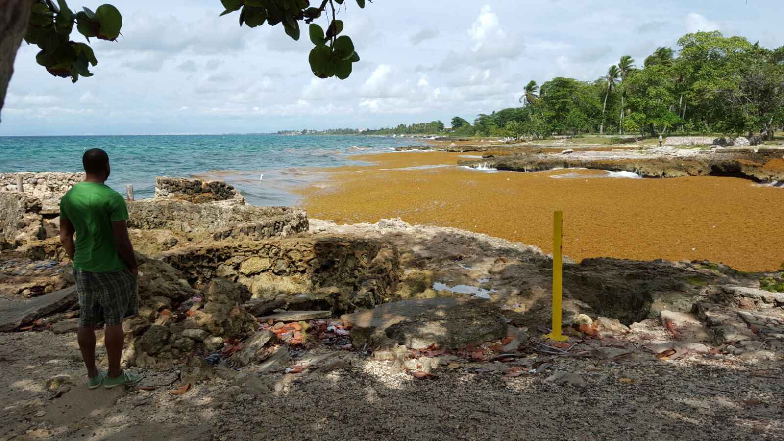 Las algas también han invadido La Caleta, Santo Domingo. 
