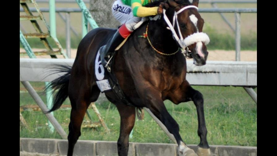 El debutante Abraham Alberto ganó en el hipódromo V Centenario