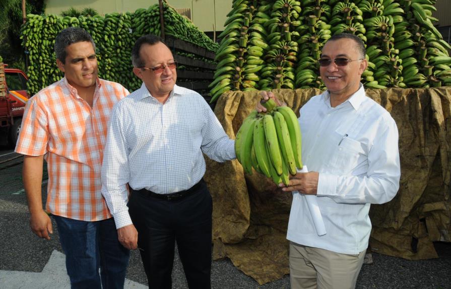 El Ministerio de Agricultura llevará los plátanos a RD$6 y RD$8 a los barrios