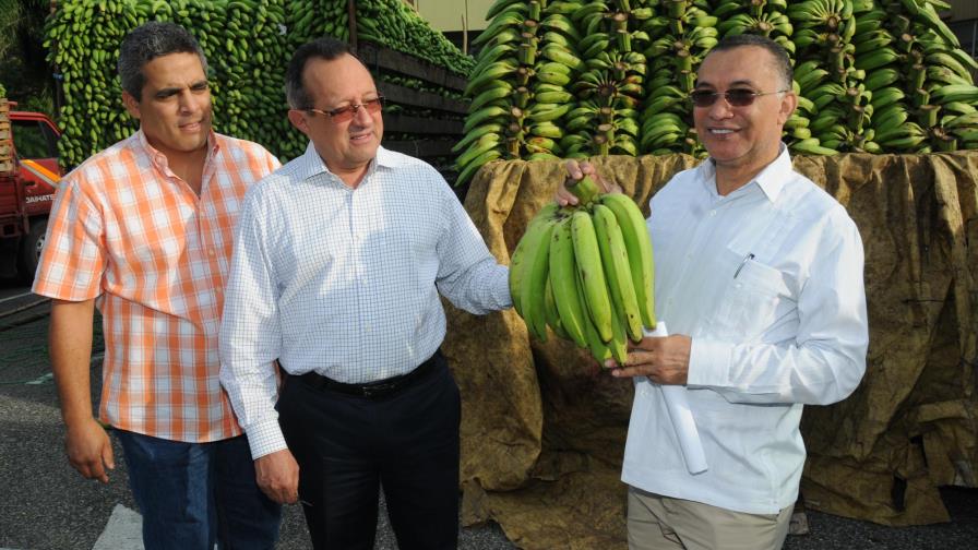 El Ministerio de Agricultura llevará los plátanos a RD$6 y RD$8 a los barrios El Ministerio de Agricultura llevará los plátanos a RD$6 y RD$8 a los barrios