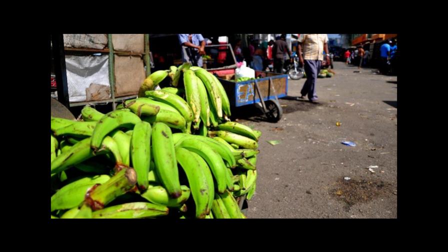 Gobierno autoriza importar plátanos para evitar que se vendan a RD$25 y RD$30 la unidad