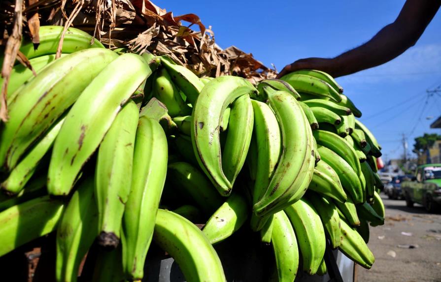 “Cambio un plátano barahonero por un galón de gasolina” y otros memes del precio de este fruto