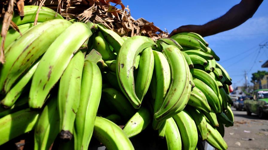 “Cambio un plátano barahonero por un galón de gasolina” y otros memes del precio de este fruto “Cambio un plátano barahonero por un galón de gasolina” y otros memes del precio de este fruto