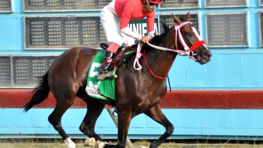 Tango Dancer sale favorito para ganar clásico hípico Angel Contreras Mejía