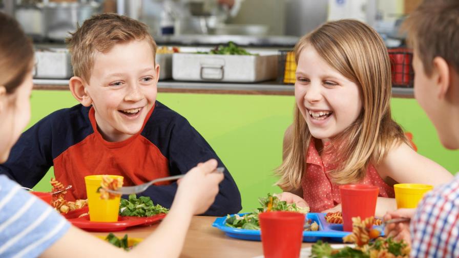 Beneficios de la nutrición en la edad escolar Beneficios de la nutrición en la edad escolar