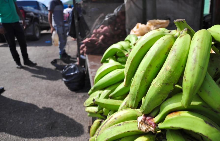 Dirigente del PRM en Santiago critica importaciones de plátanos