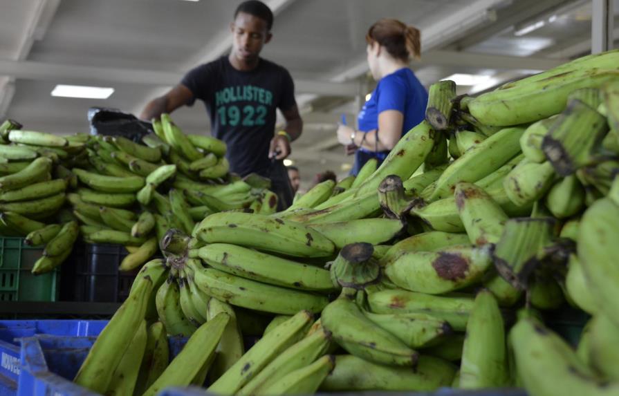 El plátano, de símbolo del “poder dominicano” a “lujo” de muy pocos
