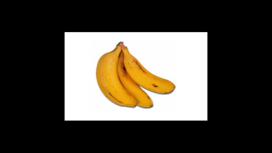 Carrera científica para salvar la banana favorita de los países ricos