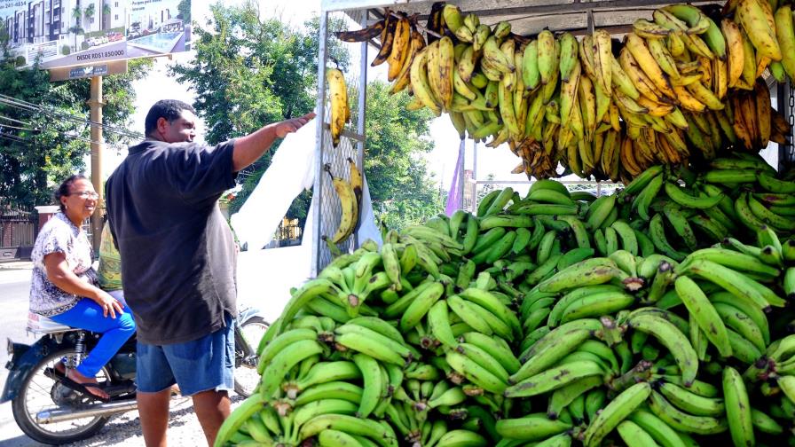 Productores atribuyen altos precios del plátano a la cadena de comercialización 