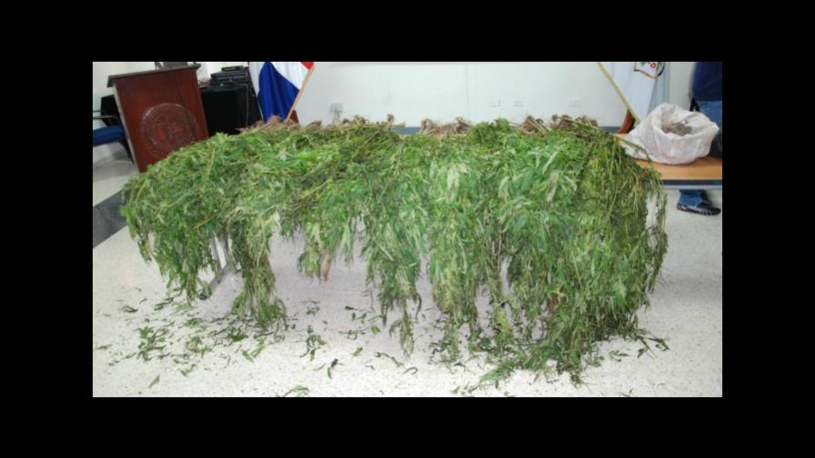 Decomisan cigarrillos y marihuana en almacén y vehículo