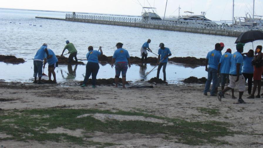 Medio Ambiente y entidades intensifican labores retiro de algas en playas y litorales costeros