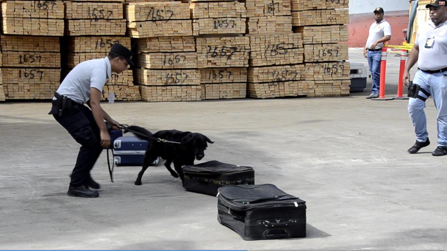 DNCD instala unidad canina y anuncia llegada de escáneres  para aeropuertos 
